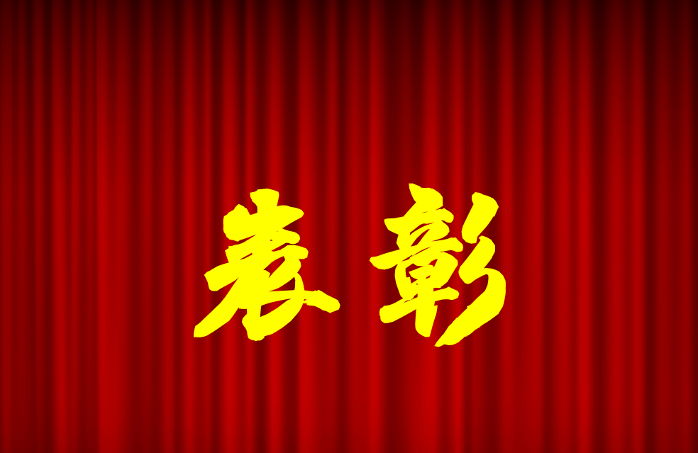 逐光前行、榮耀共鑒 | 公司2024年度表彰來啦！